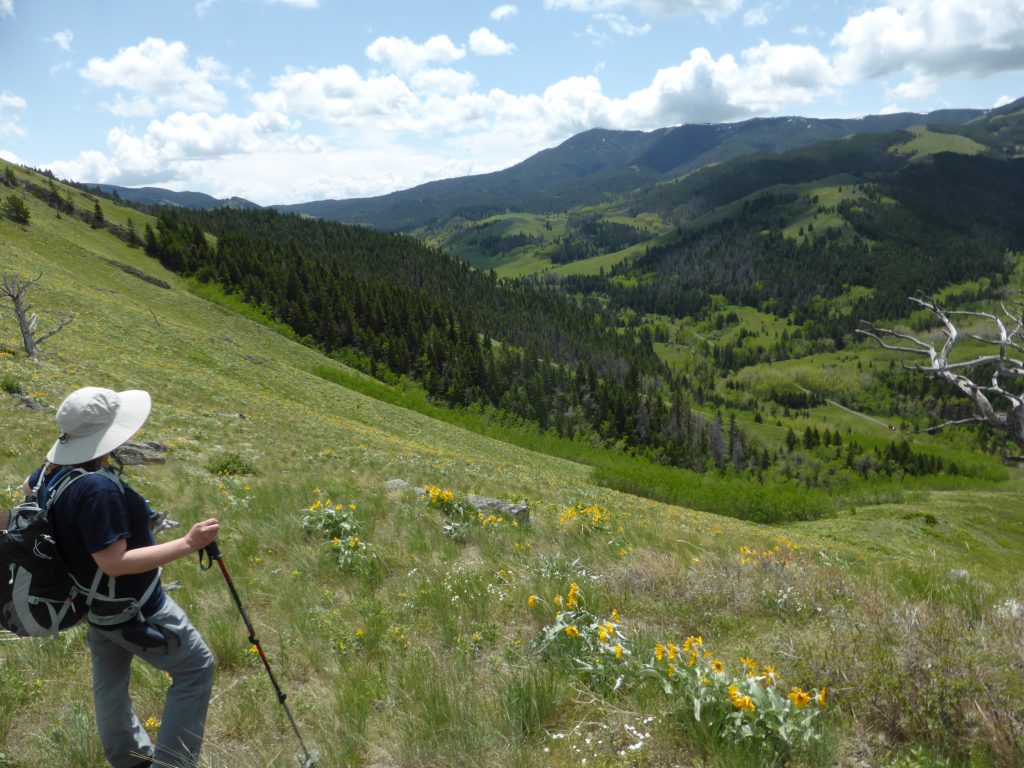 hiking near Great Falls Montana