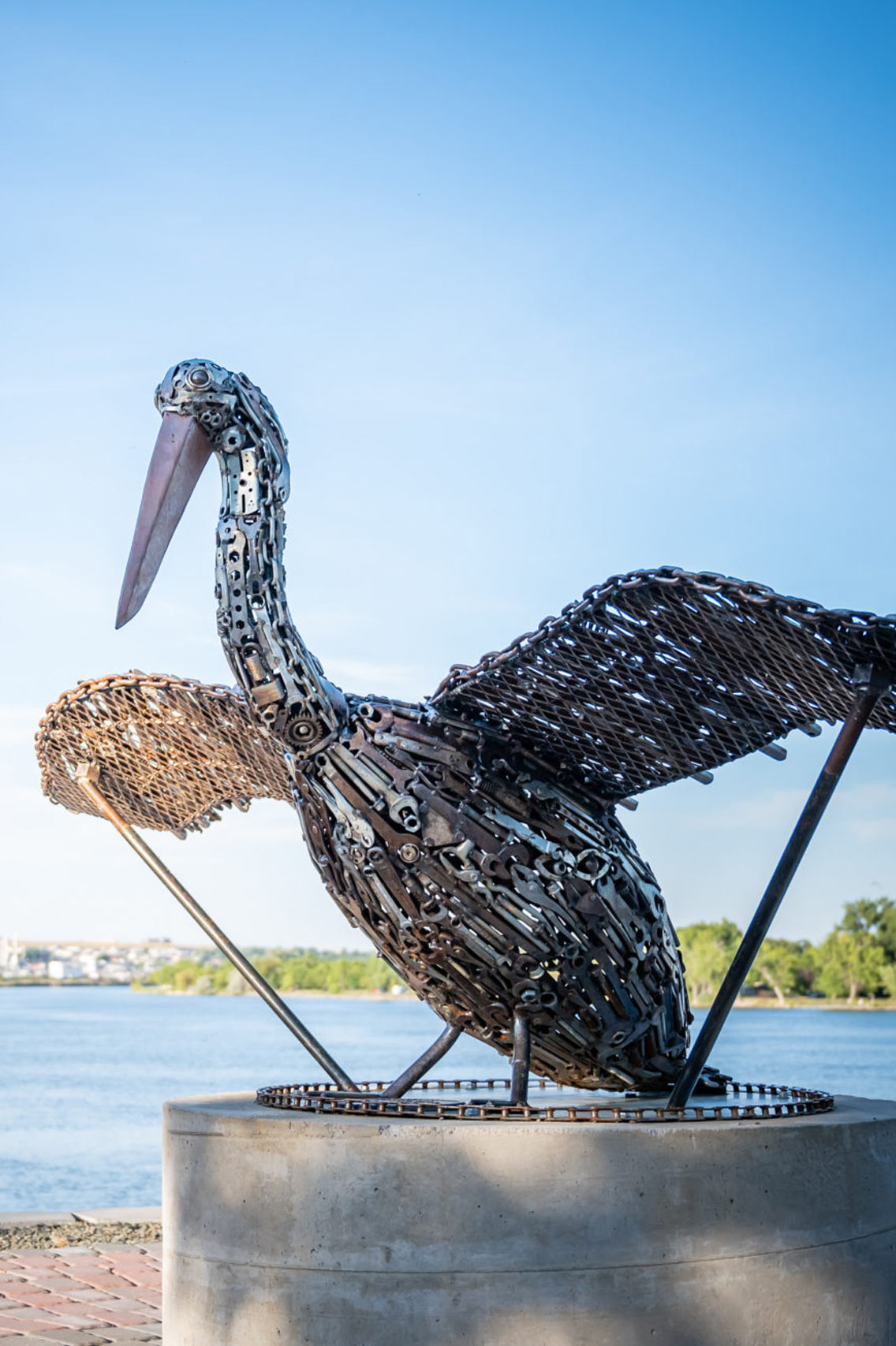 Pelican Art Along the Trail