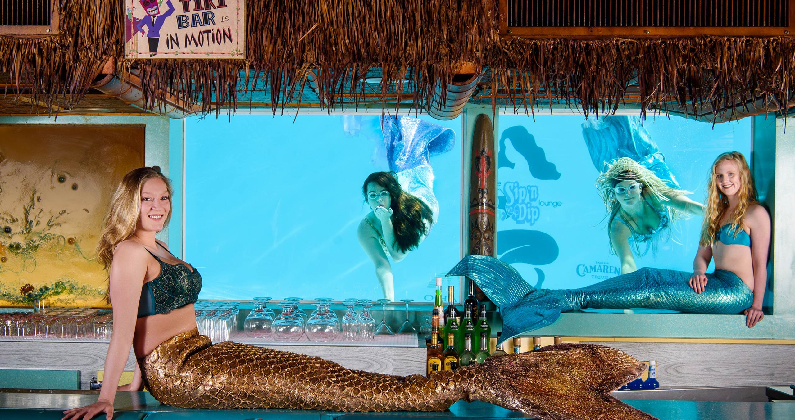 Mermaids Header Image