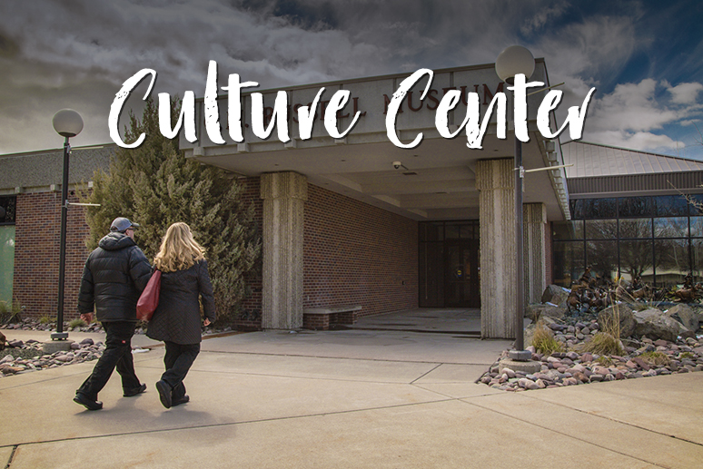 Link to Information About Museums