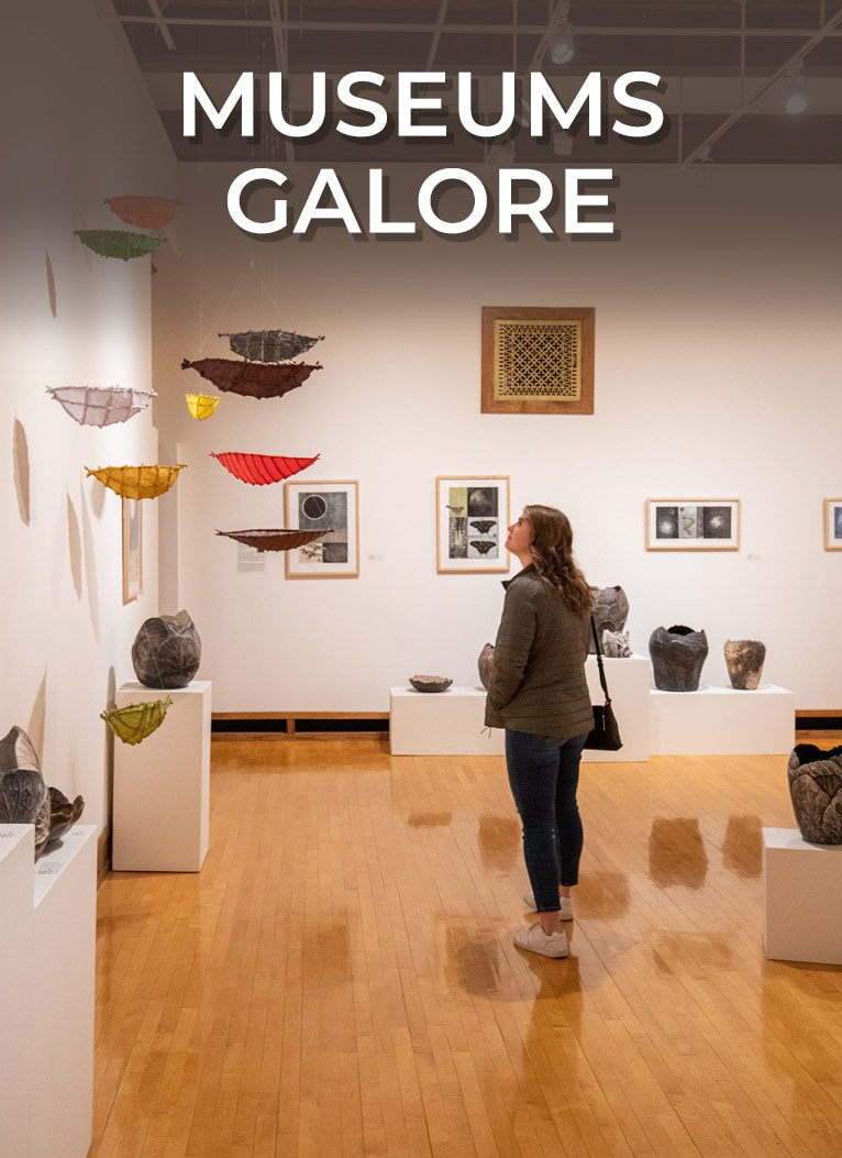 Link to Information About Museums