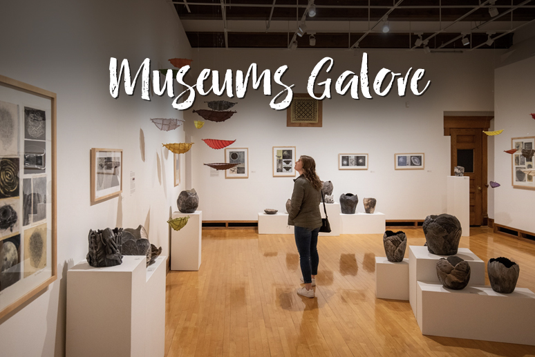Link to Information About Museums