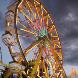 Link to Information About the Montana State Fair