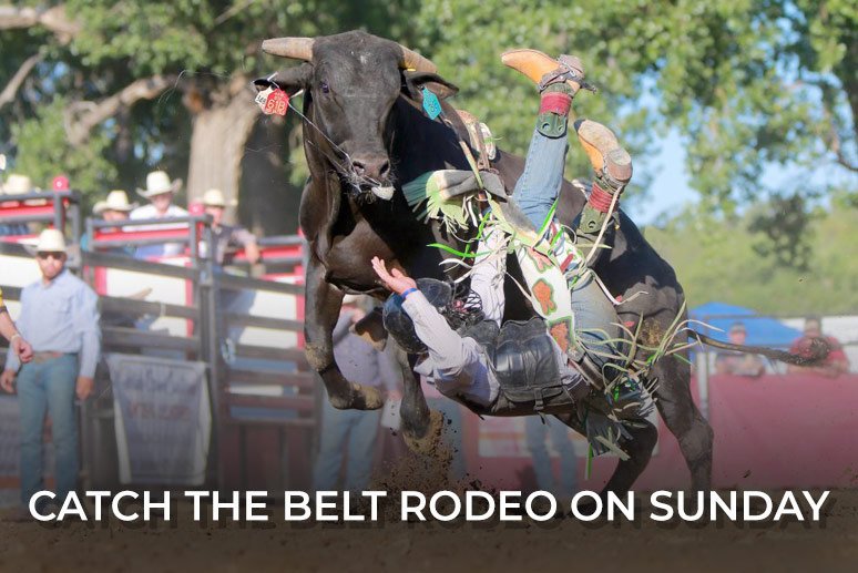 Link to the Belt Rodeo Event