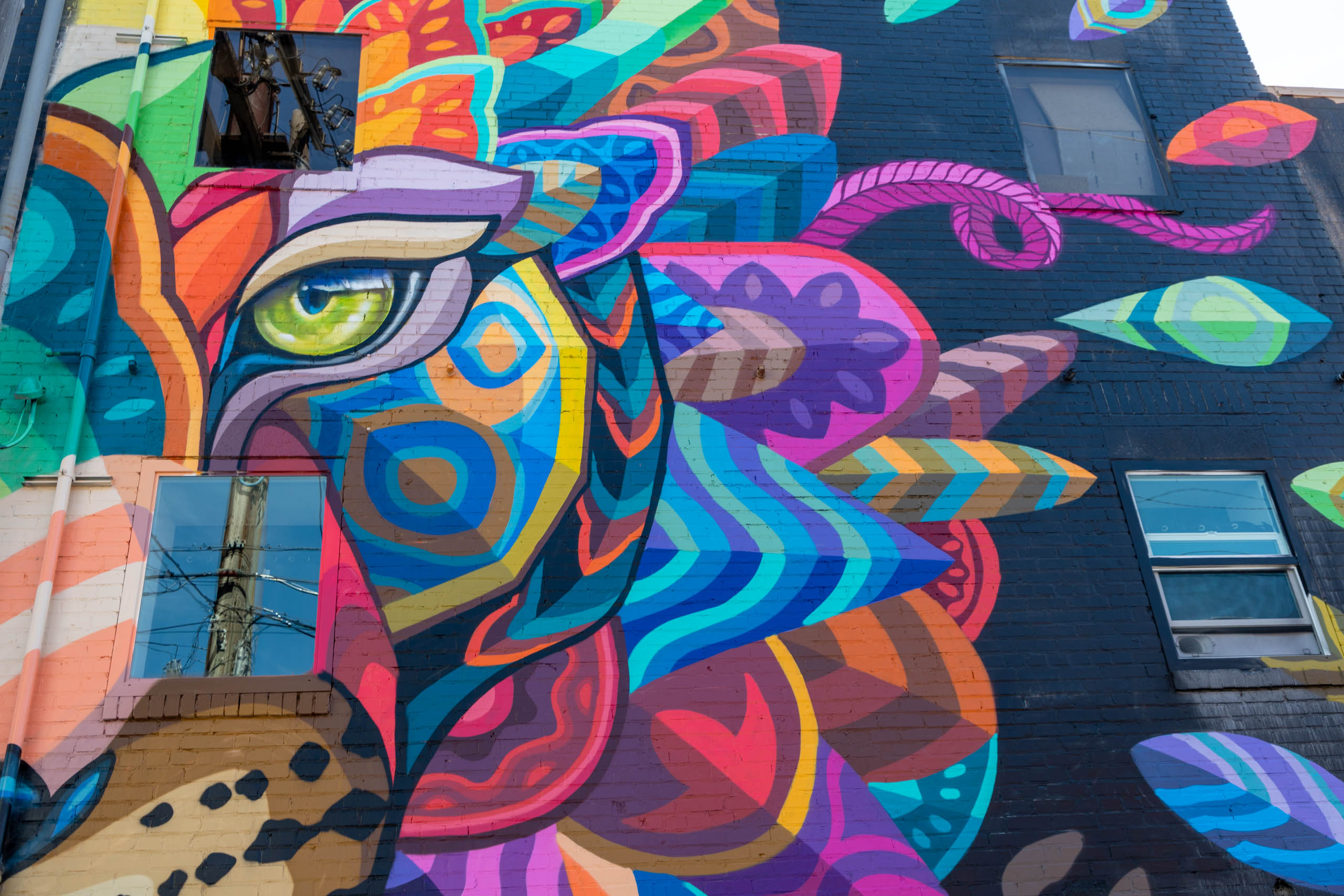 ArtsFest Montana 2024 Farid Rueda