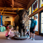 First Peoples Buffalo Jump State Park Interpretive Center