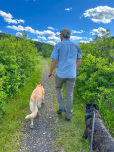 Sluice Boxes Dogs Hike 